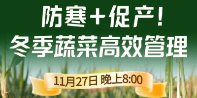 《细说农技》专家张宝林教冬季蔬菜防寒 + 促产高效管理，27 日晚 8 点！