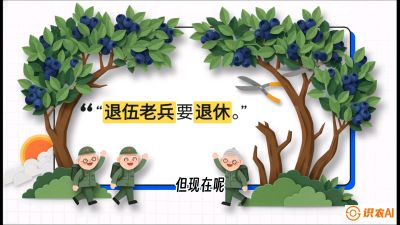 第7节：修剪决定产量（下）&mdash;&mdash;结果树的更新与疏果，课程：《蓝莓&ldquo;高产&rdquo;实战课：从选苗到丰收的10个关键点》