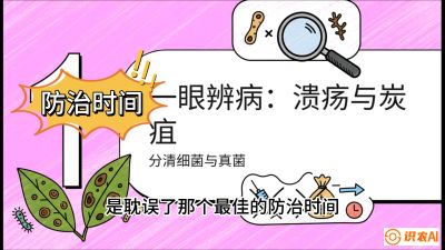 第三节：细菌与真菌&mdash;&mdash;溃疡病与炭疽病，课程：《柑橘十大病虫害：从入门到精通》