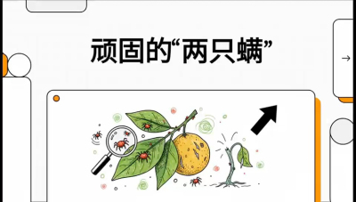 第二节：顽固&ldquo;两只满&rdquo;&mdash;&mdash;红蜘蛛与锈壁虱,课程：《柑橘十大病虫害：从入门到精通》