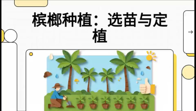 第01节：选苗与定植&mdash;&mdash;&ldquo;苗好一半收，底肥定千秋&rdquo;课程：《槟榔种植：从不懂到精通的10堂必修课》