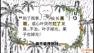 第05节：常见真菌病害&mdash;&mdash;&ldquo;炭疽与烂心，早防值千金&rdquo;《槟榔种植：从不懂到精通的10堂必修课》