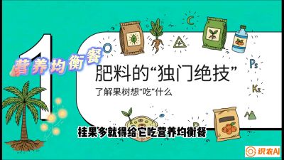 第07节：科学施肥&mdash;&mdash;&ldquo;氮磷钾配好，树壮果不倒