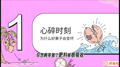 第08节：微量元素与保果&mdash;&mdash;&ldquo;补硼又补钙，果子不裂坏&rdquo;《槟榔种植：从不懂到精通的10堂必修课》