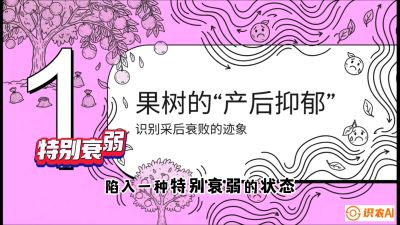 第2节：【冬肥策略】采后&ldquo;月子肥&rdquo;：大小年的精准干预术，课程：《柑橘底肥&ldquo;翻身账&rdquo;：从改土到高产的实战全书》