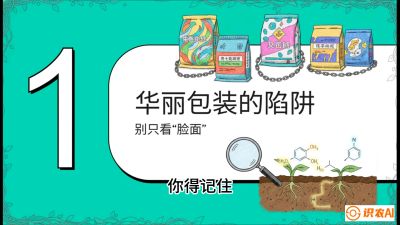 第4节：【黄金配方】底肥里的&ldquo;铁三角&rdquo;与&ldquo;微量雷区&rdquo;课程：《柑橘底肥&ldquo;翻身账&rdquo;：从改土到高产的实战全书》