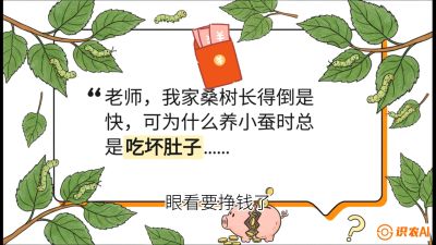 第01节：不仅仅是树&mdash;&mdash;顶级品种选配策略，课程：《桑海淘金：桑树高产与蚕桑安全进阶实战课》