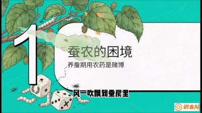 第06节：虫口夺叶（上）&mdash;&mdash;物理与生物防控绝技，课程《桑海淘金：桑树高产与蚕桑安全进阶实战课》