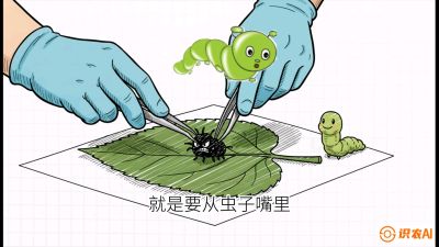 第07节：虫口夺叶（下）&mdash;&mdash;不得不打药时的&ldquo;解毒术&rdquo;，课程：《桑海淘金：桑树高产与蚕桑安全进阶实战课》