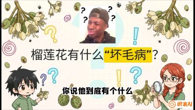 第六节：榴莲的午夜战事，夜间授粉战与花果期避雨策略，课程：《国产榴莲突围战：从泰国经验到中国实操的8堂必修课（高阶实战版）》