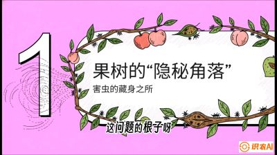 第3节：无人机专治&ldquo;打不透&rdquo;&mdash;&mdash;果树与高杆作物的穿透技巧，课程：《无人机植保搞钱必修课：从&ldquo;瞎飞&rdquo;到&ldquo;懂行&rdquo;的6步进阶》