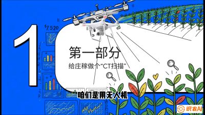 第5节：无人机也能&ldquo;看病抓药&rdquo;&mdash;&mdash;处方图与变量施肥入门，课程：《无人机植保搞钱必修课：从&ldquo;瞎飞&rdquo;到&ldquo;懂行&rdquo;的6步进阶》