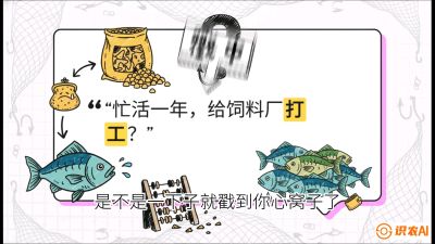 第一节：【选品与规划】如果不养&ldquo;四大家鱼&rdquo;，我们还能养什么？,课程：《黄金鳞甲：2025中国淡水鱼高效养殖实战营》