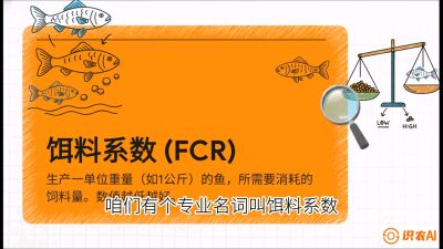 第五节：【高端单品&middot;鳜鱼】&ldquo;饲料鳜&rdquo;技术：打破吃活饵的高成本魔咒，课程：《黄金鳞甲：2025中国淡水鱼高效养殖实战营》