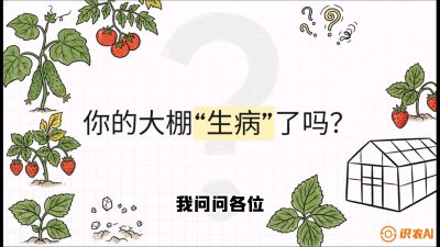 第2节（解毒篇）： 大棚里的&ldquo;红白绿&rdquo;警报&mdash;&mdash;读懂土壤盐渍化的求救信号，课程：《揭秘土壤的秘密：让土地帮你赚钱》#识农AI