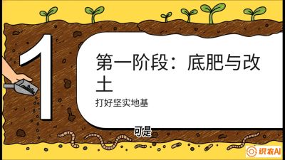 第6节（统筹篇）： 省钱又增产的&ldquo;黄金配比&rdquo;&mdash;&mdash;不同作物全年的养土实操方案，课程：《揭秘土壤的秘密：让土地帮你赚钱》#识农AI
