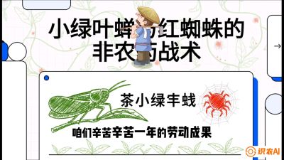 第03节（虫害篇）：看不见的吸血鬼：小绿叶蝉与红蜘蛛的&ldquo;非农药&rdquo;团灭战术（抗性治理），课程：《茶金时代：从&ldquo;看天吃饭&rdquo;到&ldquo;精准控局&rdquo;的茶叶高产提质实战课》