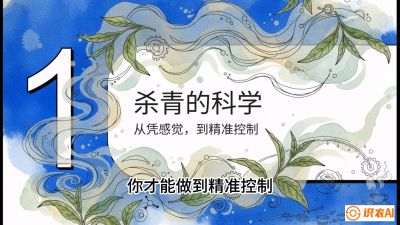 第05节（加工篇）：决胜2分钟：用&ldquo;数字温控&rdquo;破解杀青不匀，复刻大师级手工口感，课程：《茶金时代：从&ldquo;看天吃饭&rdquo;到&ldquo;精准控局&rdquo;的茶叶高产提质实战课》