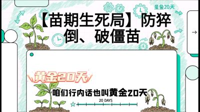 第2节：【苗期生死局】防猝倒、破僵苗，决定后期产量的&ldquo;黄金20天&rdquo;，课程：《辣椒种植实战特训营，从工业辣椒到精品小米辣，教你如何把&ldquo;草&rdquo;种成&ldquo;金&rdquo;》