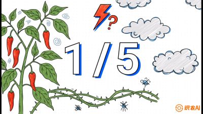 第6节：【花果爆发术】落花落果的五大元凶，与&ldquo;三喷一保&rdquo;坐果黑科技，课程：《辣椒种植实战特训营，从工业辣椒到精品小米辣，教你如何把&ldquo;草&rdquo;种成&ldquo;金&rdquo;》