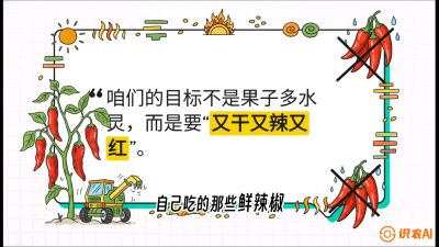 第7节：【工业辣椒专场】追求极致辣度！干物质提升与机械化采收的&ldquo;催红秘籍&rdquo;，课程：《辣椒种植实战特训营，从工业辣椒到精品小米辣，教你如何把&ldquo;草&rdquo;种成&ldquo;金&rdquo;》