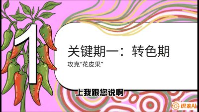 第8节：【小米辣线椒专场】颜值即正义！防花皮、防炭疽，打造收购商抢着要的&ldquo;精品果&rdquo;，课程：《辣椒种植实战特训营，从工业辣椒到精品小米辣，教你如何把&ldquo;草&rdquo;种成&ldquo;金&rdquo;》