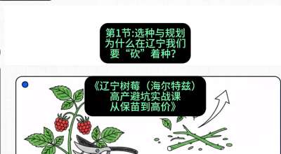 第一节： 选种与规划&mdash;&mdash;为什么在辽宁我们要&ldquo;砍&rdquo;着种？，课程：《辽宁树莓（海尔特兹）高产避坑实战课：从保苗到高价》