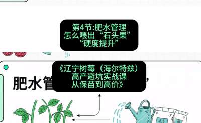 第四节： 肥水管理&mdash;&mdash;怎么喂出&ldquo;石头果&rdquo;（硬度提升），课程：《辽宁树莓（海尔特兹）高产避坑实战课：从保苗到高价》