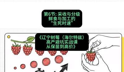 第六节： 采收与分级&mdash;&mdash;鲜食与加工的&ldquo;生死时速&rdquo;，课程：《辽宁树莓（海尔特兹）高产避坑实战课：从保苗到高价》