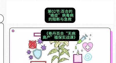 第02节：百合的&ldquo;癌症&rdquo;&mdash;&mdash;病毒病的阻断与急救，课程：《卷丹百合&ldquo;无病高产&rdquo;植保实战课》#识农AI