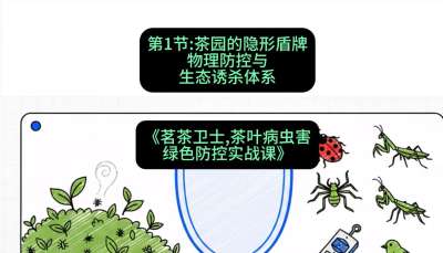 第01节：茶园的&ldquo;隐形盾牌&rdquo;&mdash;&mdash;物理防控与生态诱杀体系，课程：《茗茶卫士&mdash;&mdash;茶叶病虫害绿色防控实战课》#识农AI