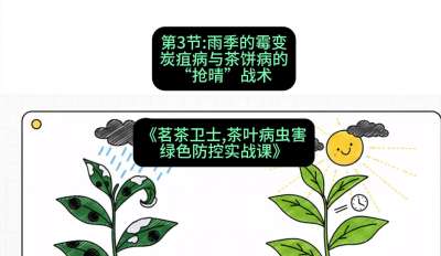 第03节：雨季的霉变&mdash;&mdash;炭疽病与茶饼病的&ldquo;抢晴&rdquo;战术，课程：《茗茶卫士&mdash;&mdash;茶叶病虫害绿色防控实战课》#识农AI