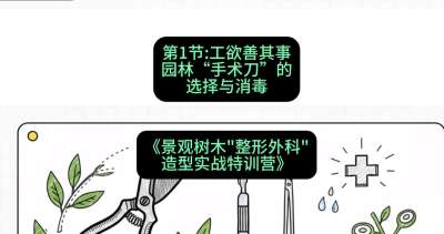 第01节：工欲善其事&mdash;&mdash;园林&ldquo;手术刀&rdquo;的选择与消毒，课程：《景观树木&ldquo;整形外科&rdquo;造型实战特训营》#识农AI