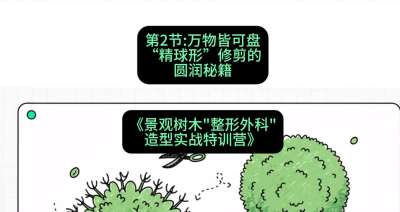 第02节：万物皆可盘&mdash;&mdash;&ldquo;精球形&rdquo;修剪的圆润秘籍，课程：《景观树木&ldquo;整形外科&rdquo;造型实战特训营》#识农AI
