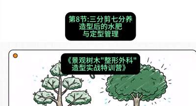 第08节：三分剪七分养&mdash;&mdash;造型后的水肥与定型管理，课程：《景观树木&ldquo;整形外科&rdquo;造型实战特训营》#识农AI