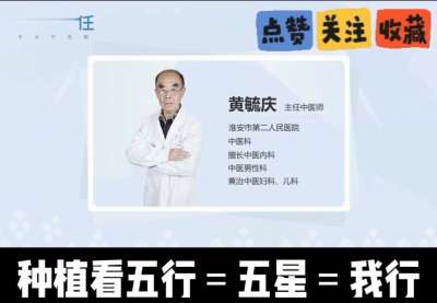 中药材淫羊藿怎么种？听专家一次讲明白！不挑地块好管理，耐寒耐旱省心省力，新手也能轻松上手，药用价值高、市场需求稳，妥妥的增收好品种～ 从生长习性到采收要点，干货满满无废话，种植疑问直接问，一对一答疑解