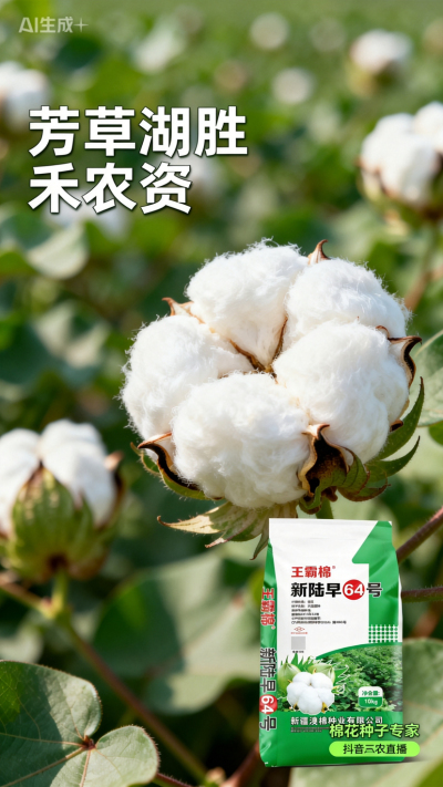 新疆棉花澳棉种业王霸棉，还有其它都好