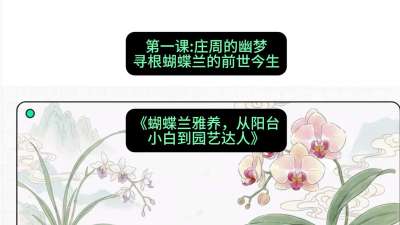 第一节：庄周的幽梦：寻根蝴蝶兰的前世今生，课程：《蝴蝶兰雅养六讲：从阳台小白到园艺达人》#识农AI