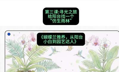第三节：寻光之旅：给阳台找一个&ldquo;仿生雨林&rdquo;，课程：《蝴蝶兰雅养六讲：从阳台小白到园艺达人》#识农AI