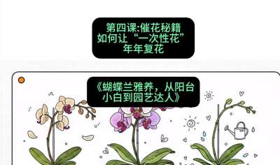 第四节：催花秘籍：如何让&ldquo;一次性花&rdquo;年年复花，课程：《蝴蝶兰雅养六讲：从阳台小白到园艺达人》#识农AI