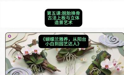 第五节：脱胎换骨：古法上板与立体造景艺术，课程：《蝴蝶兰雅养六讲：从阳台小白到园艺达人》#识农AI